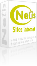 Création site internet Toulouse - Netis est une agence web basée à Toulouse : développement, conception, réalisation et référencement de sites web (cms spip, site statique, site dynamique, intranet, extranet,...) pour entreprises, pme et associations